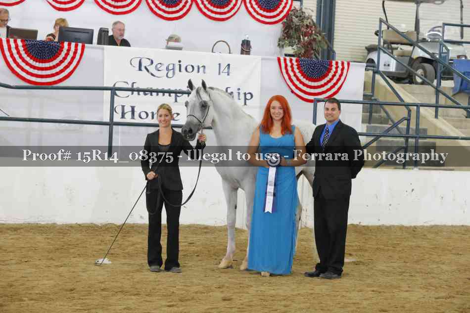 Proof Number 15R14_08375