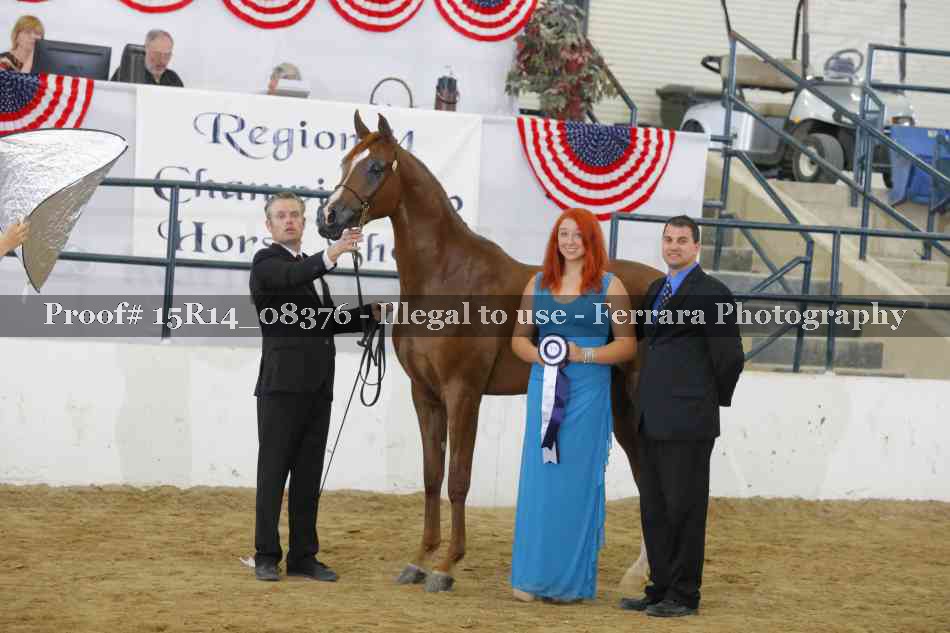 Proof Number 15R14_08376