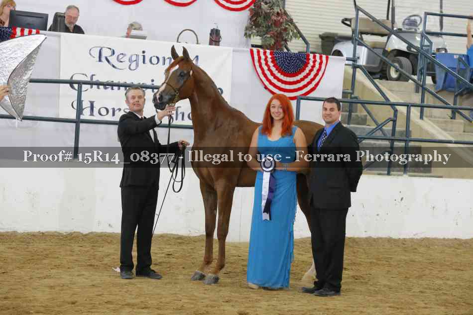 Proof Number 15R14_08377
