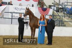 15R14_08377 thumbnail