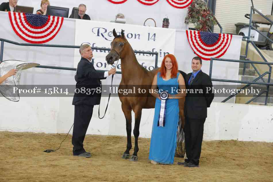 Proof Number 15R14_08378