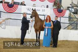 15R14_08378 thumbnail