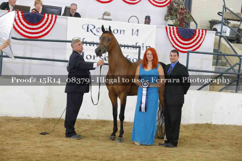 Proof Number 15R14_08379