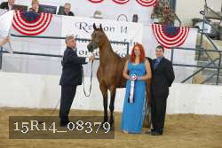 15R14_08379 thumbnail