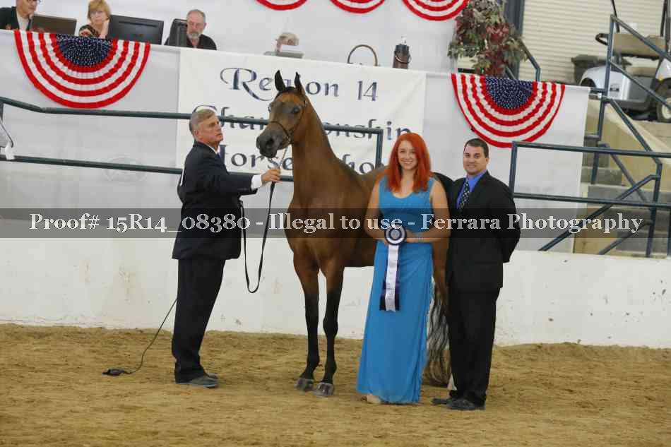 Proof Number 15R14_08380