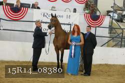 15R14_08380 thumbnail