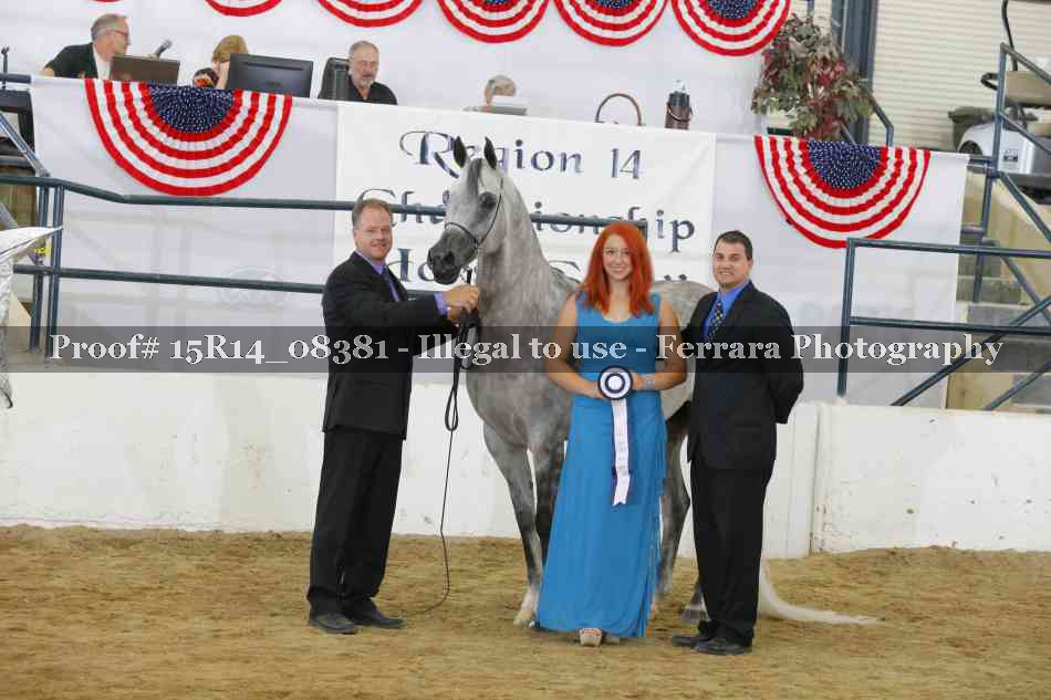 Proof Number 15R14_08381