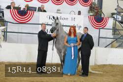 15R14_08381 thumbnail