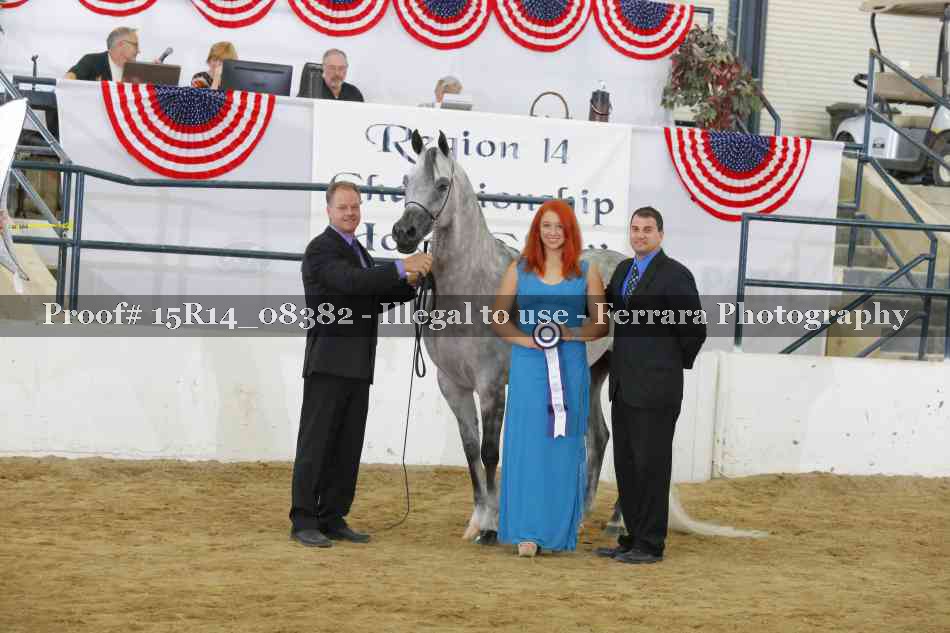 Proof Number 15R14_08382