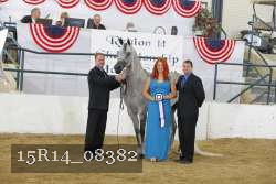 15R14_08382 thumbnail