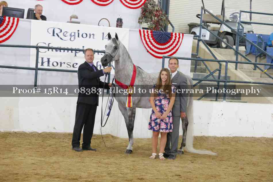 Proof Number 15R14_08383