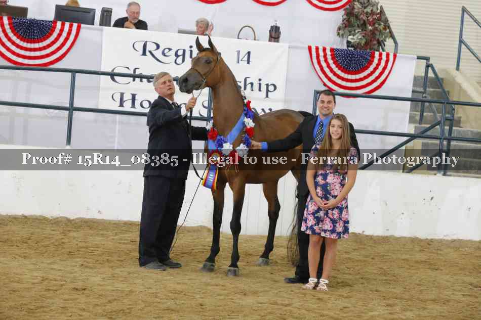 Proof Number 15R14_08385