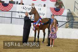 15R14_08385 thumbnail