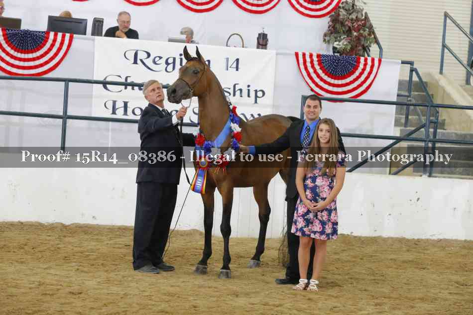 Proof Number 15R14_08386