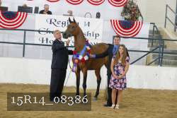 15R14_08386 thumbnail