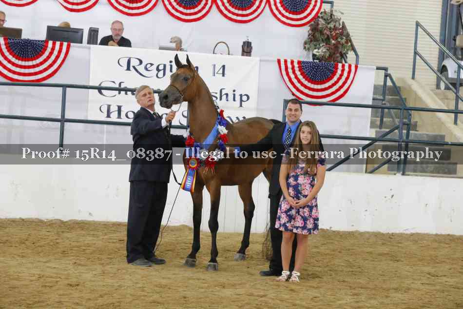 Proof Number 15R14_08387