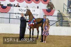 15R14_08387 thumbnail
