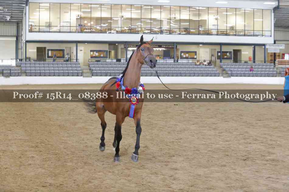 Proof Number 15R14_08388