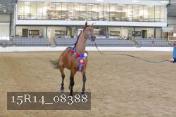 15R14_08388 thumbnail
