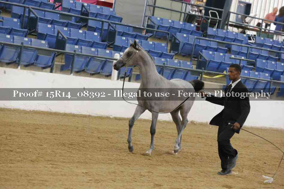 Proof Number 15R14_08392