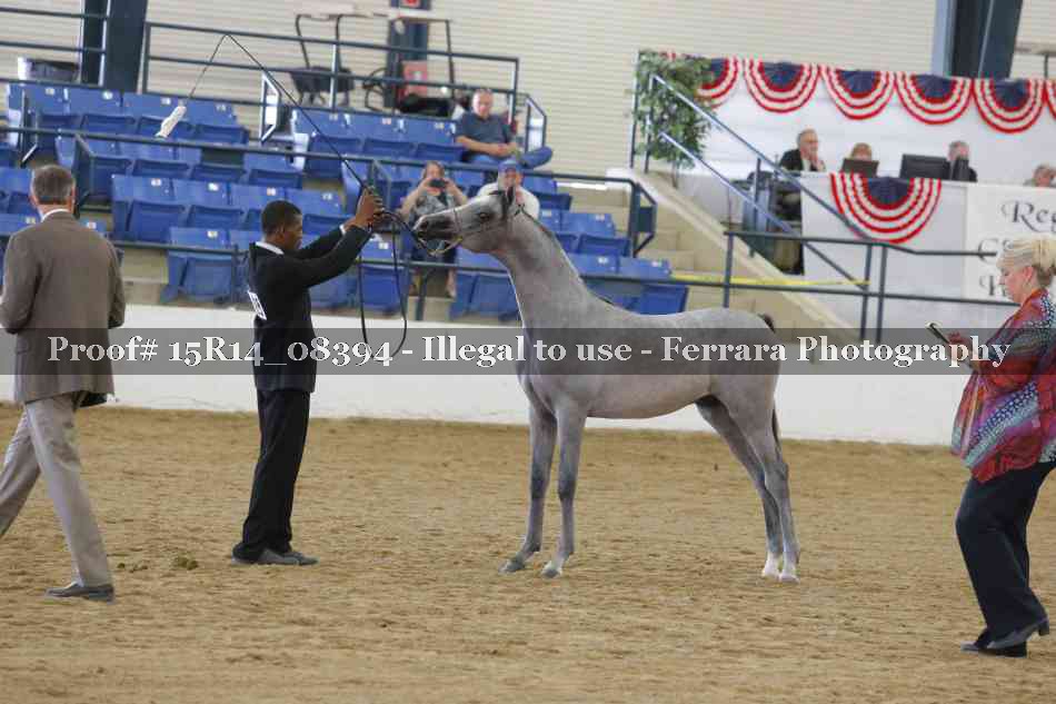 Proof Number 15R14_08394