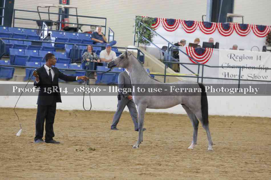 Proof Number 15R14_08396