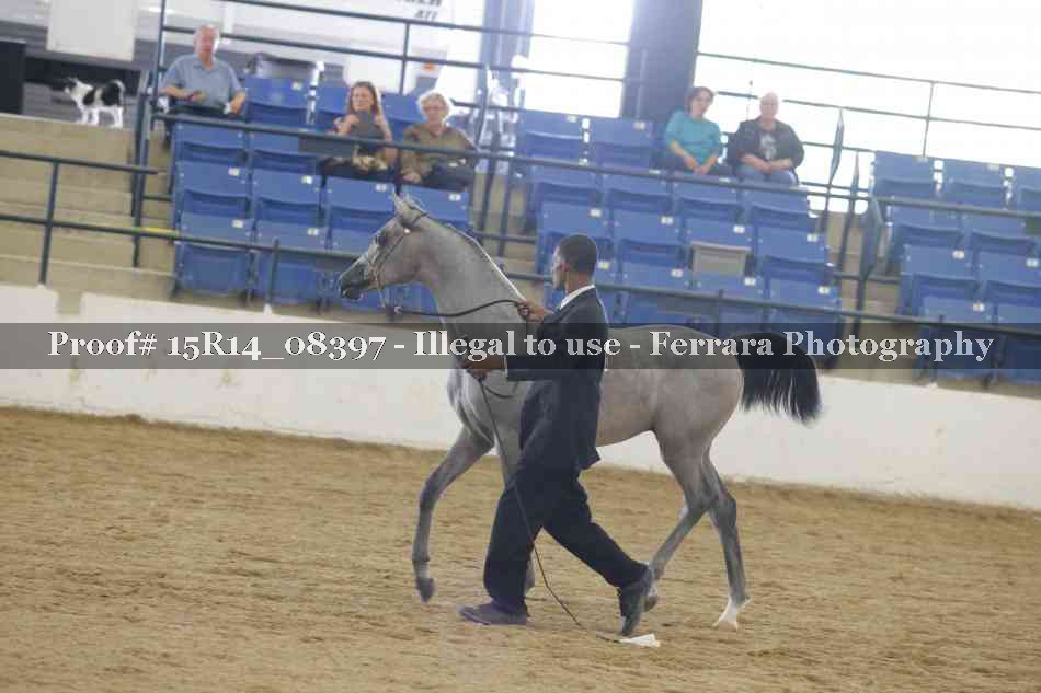 Proof Number 15R14_08397