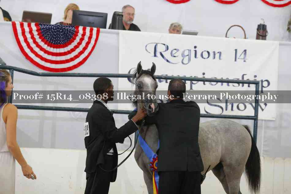Proof Number 15R14_08398