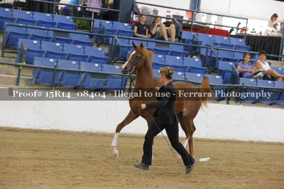 Proof Number 15R14_08404