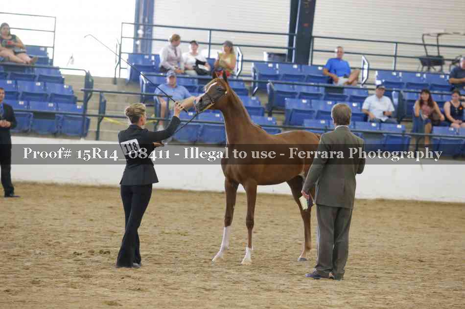 Proof Number 15R14_08411