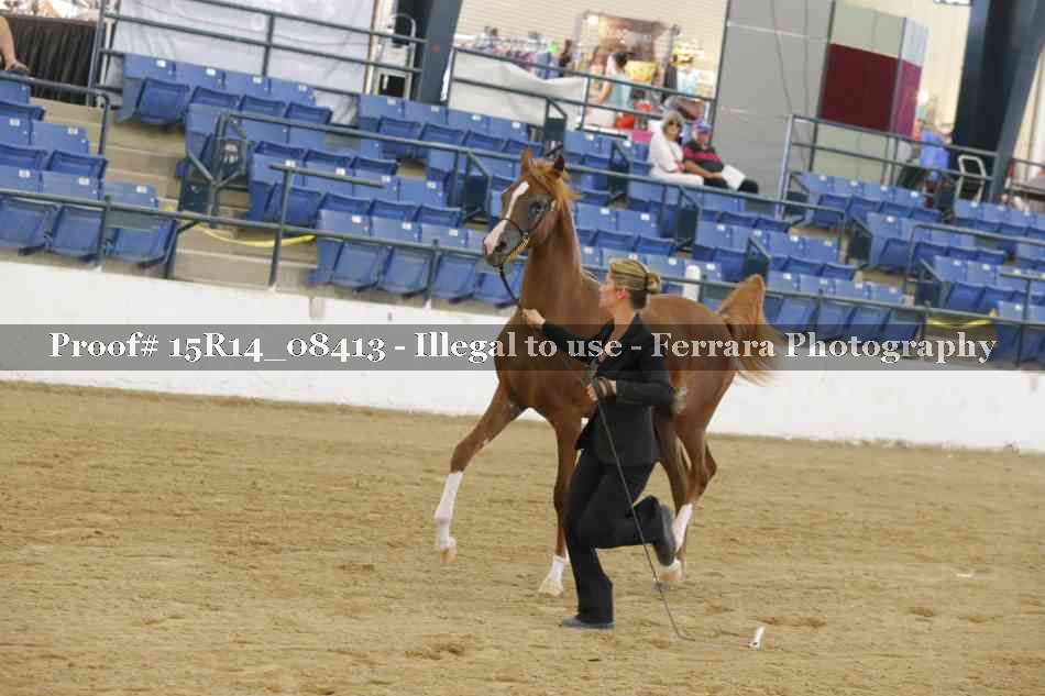 Proof Number 15R14_08413