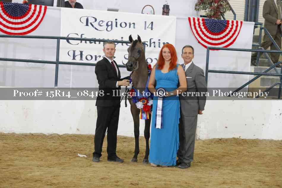 Proof Number 15R14_08418