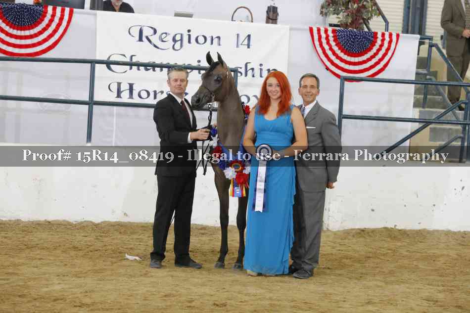 Proof Number 15R14_08419