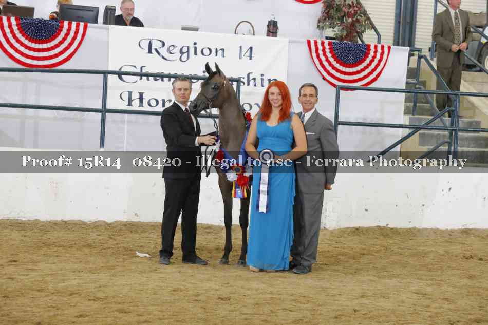 Proof Number 15R14_08420