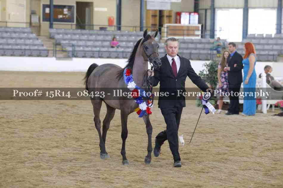 Proof Number 15R14_08423
