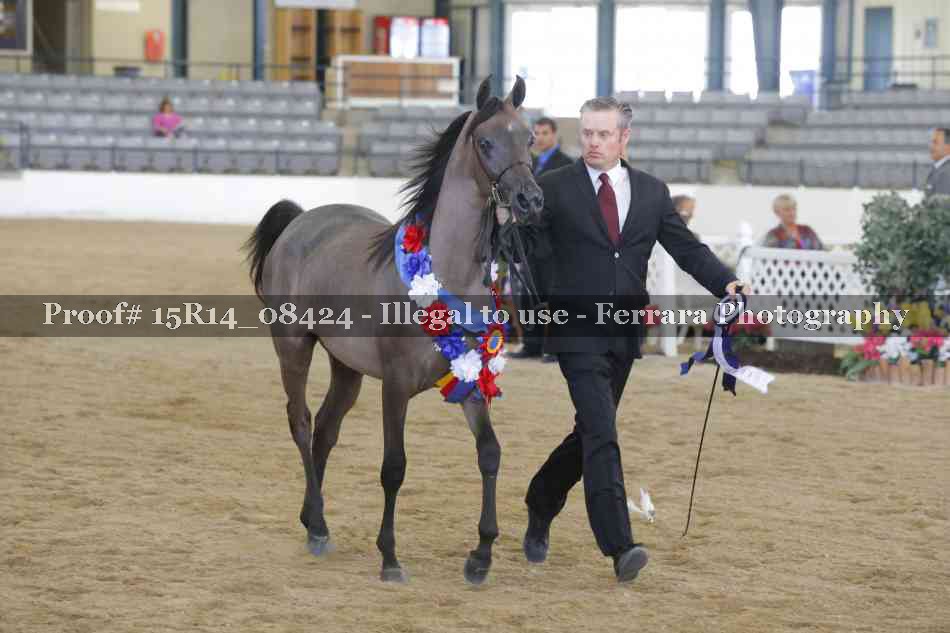 Proof Number 15R14_08424