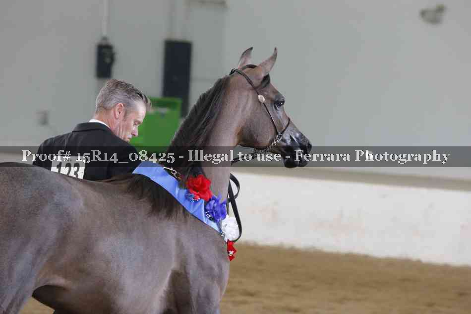 Proof Number 15R14_08425