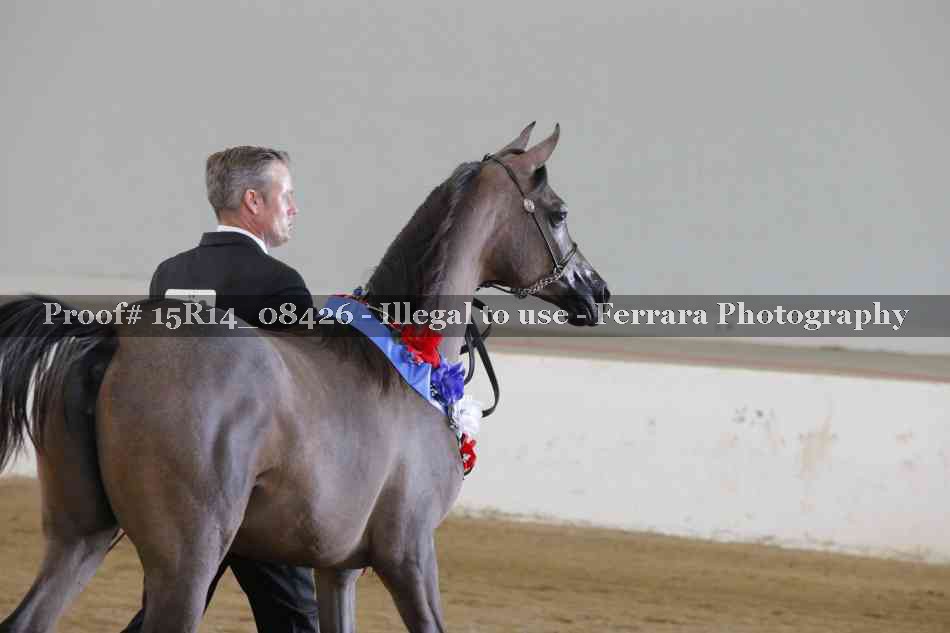 Proof Number 15R14_08426