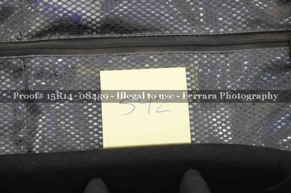 Proof Number 15R14_08439