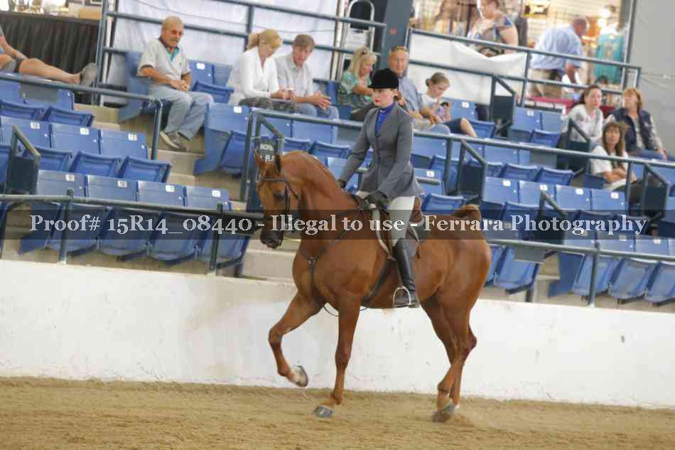 Proof Number 15R14_08440