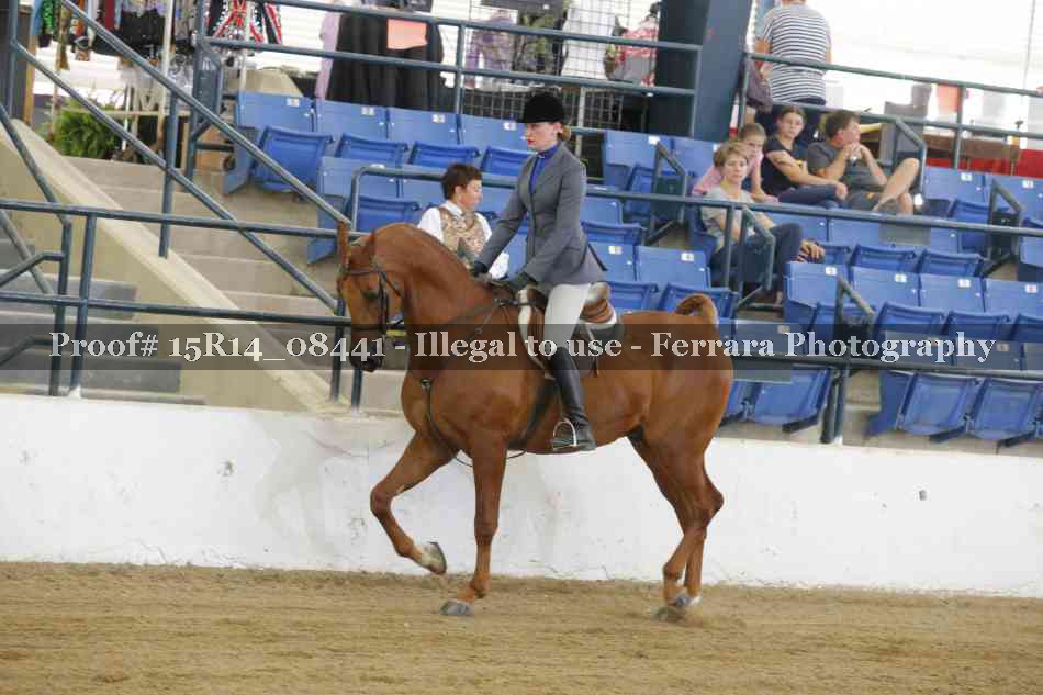 Proof Number 15R14_08441