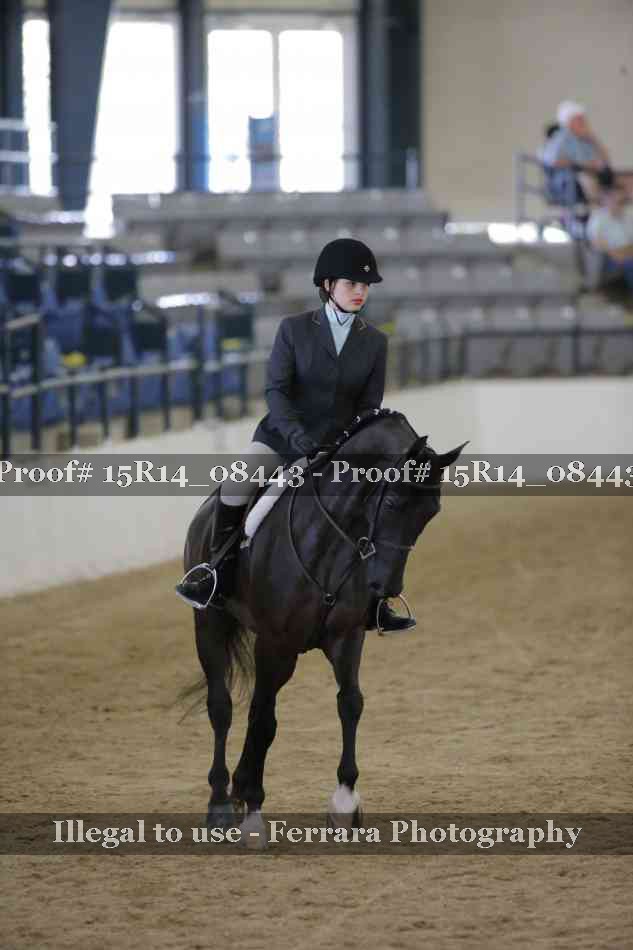Proof Number 15R14_08443