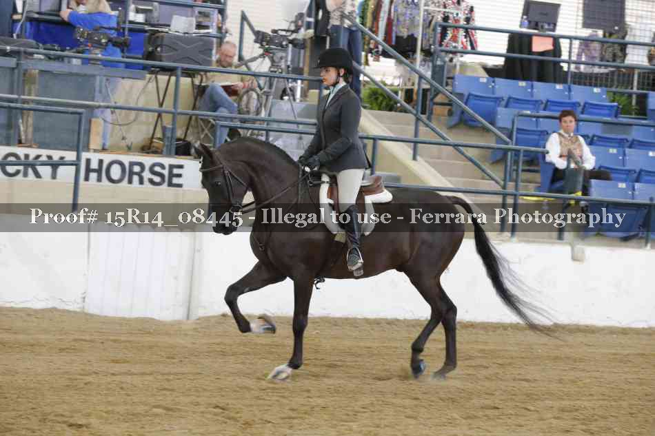 Proof Number 15R14_08445