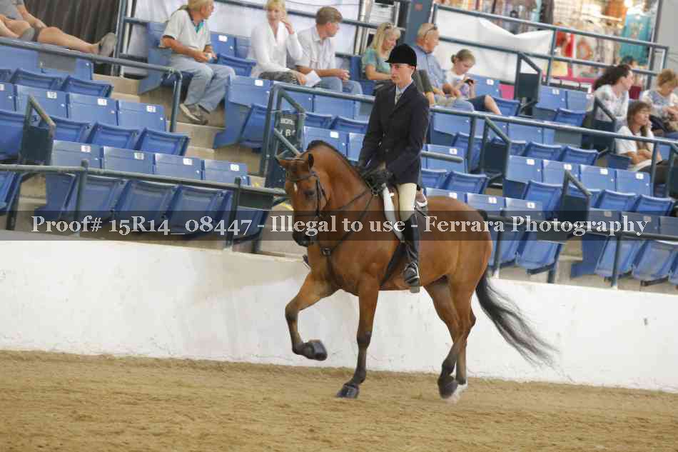 Proof Number 15R14_08447