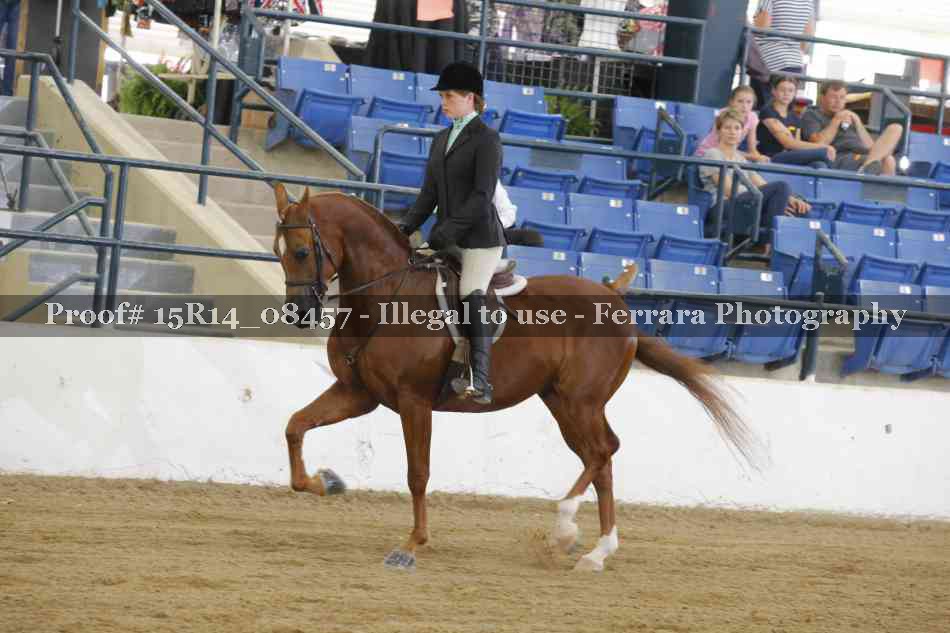 Proof Number 15R14_08457
