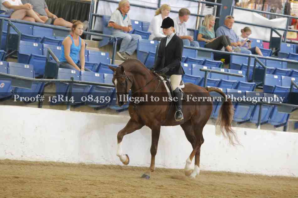 Proof Number 15R14_08459