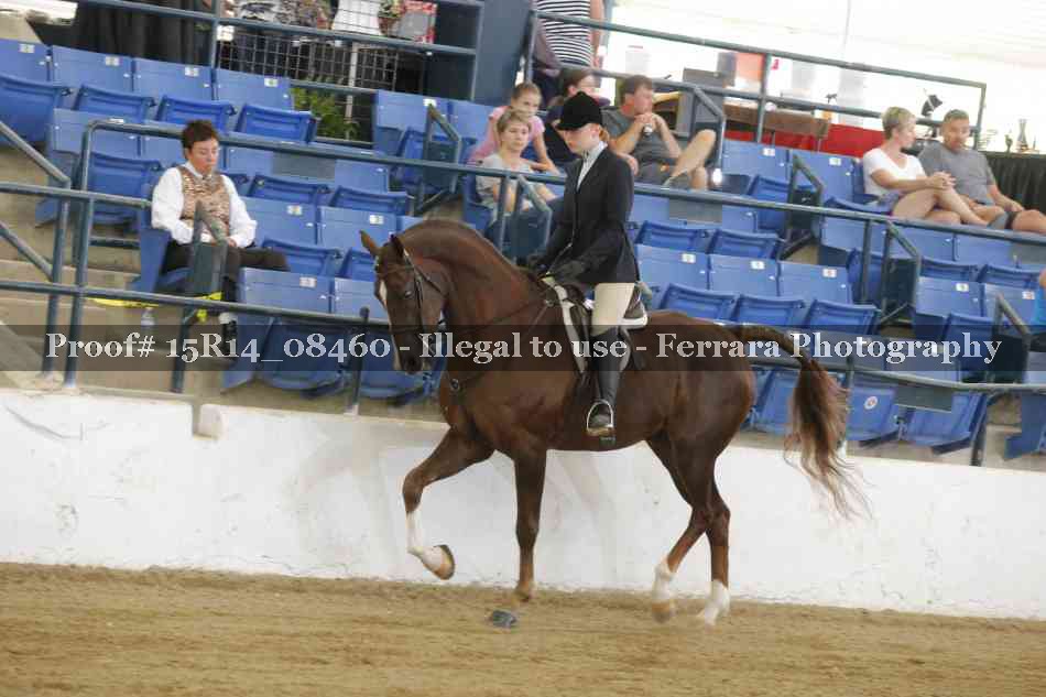 Proof Number 15R14_08460