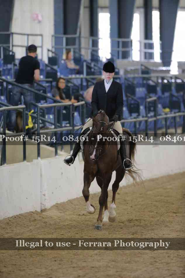Proof Number 15R14_08461