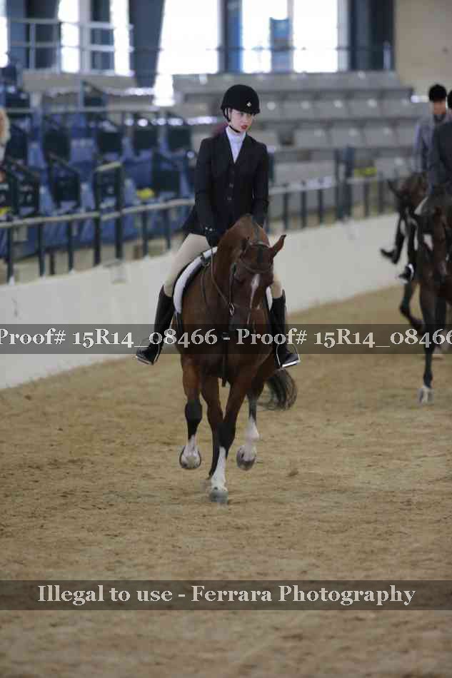 Proof Number 15R14_08466