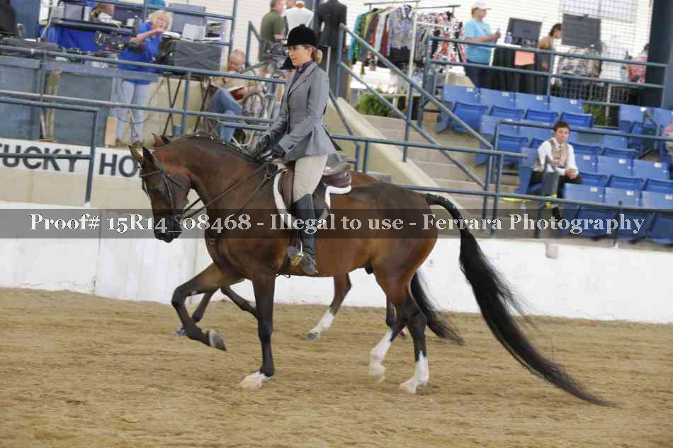 Proof Number 15R14_08468